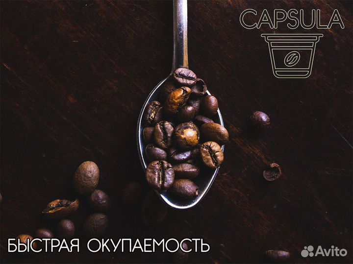 Готовьтесь к успеху с capsula