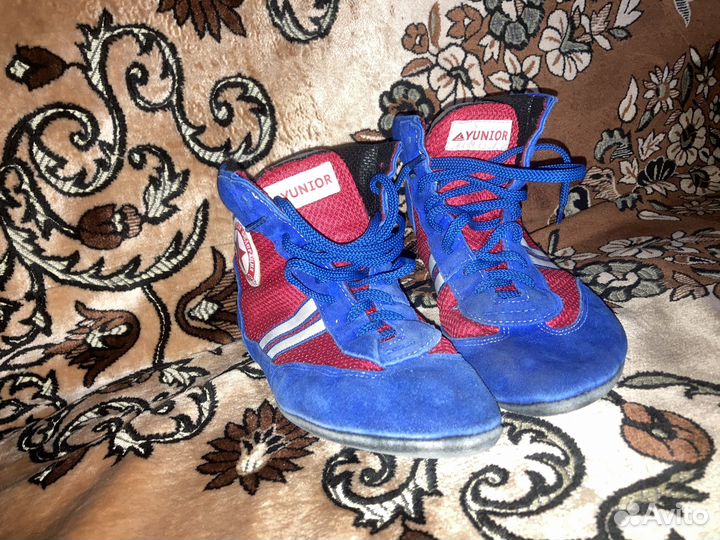 Самбовка крепыш