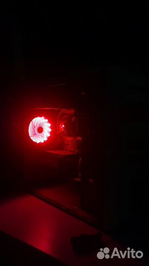 Красный пука