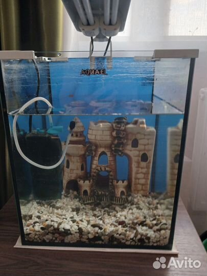 Аквариум