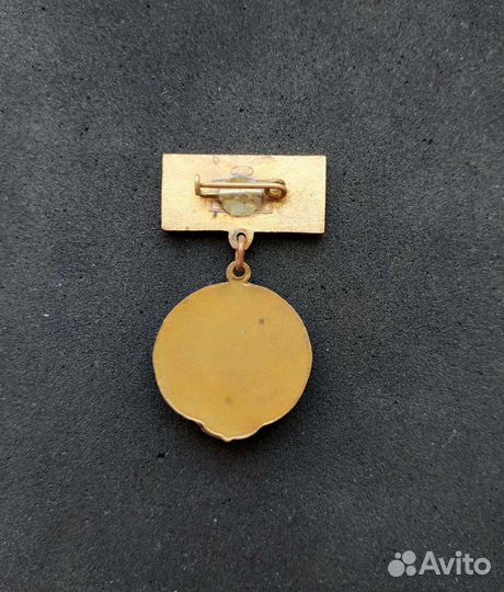 Знак Буревестник