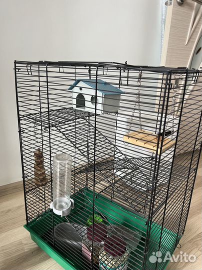 Клетка для грызунов бу