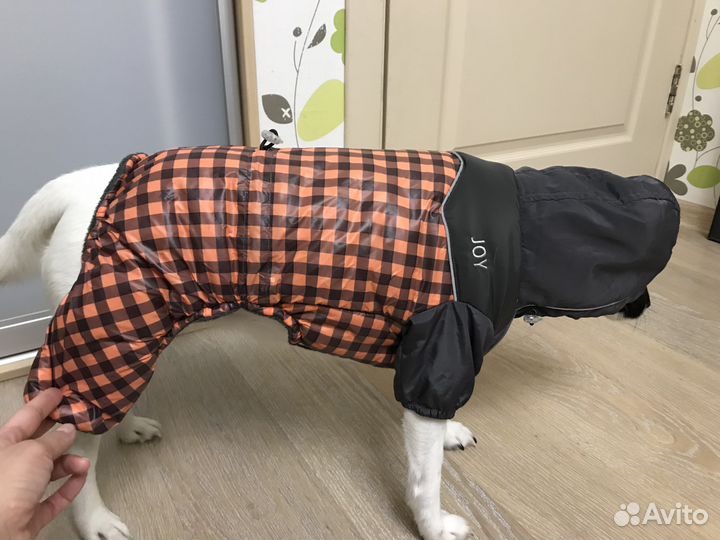 Комбинезон для собаки