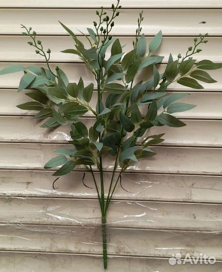 Рускус зелень искусственная