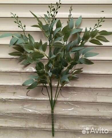 Рускус зелень искусственная