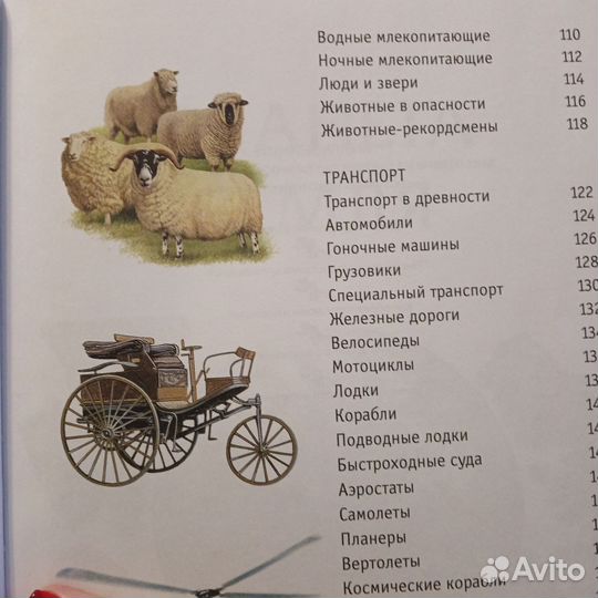 Книга знаний для ребенка 7-10 лет вопросы и ответы