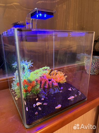Аквариум 30л с комплектующими
