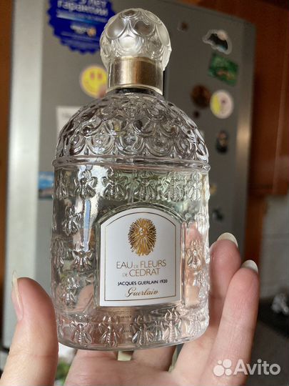 Guerlain cologne