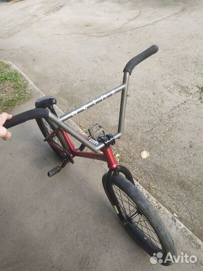 BMX Author Wolf 2020