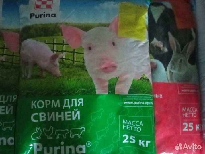 Корм, бвмк для свиней