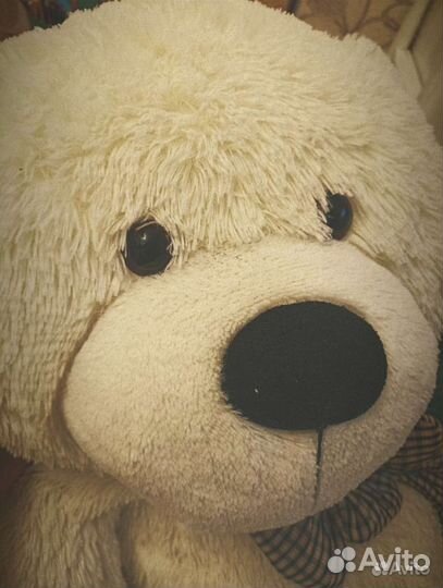 Плюшевый медведь