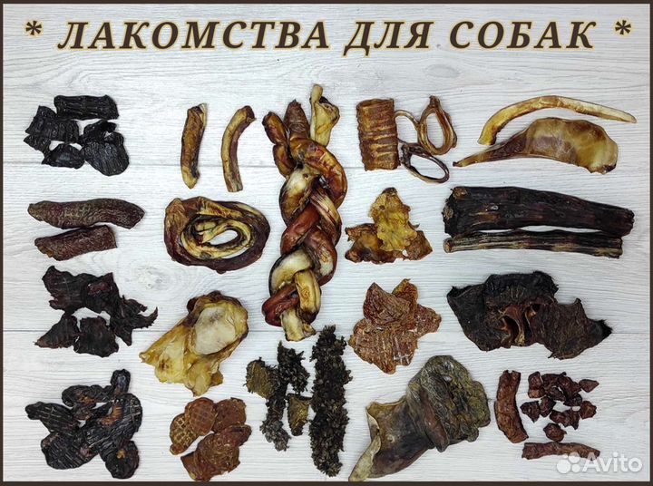 Лакомства для собак