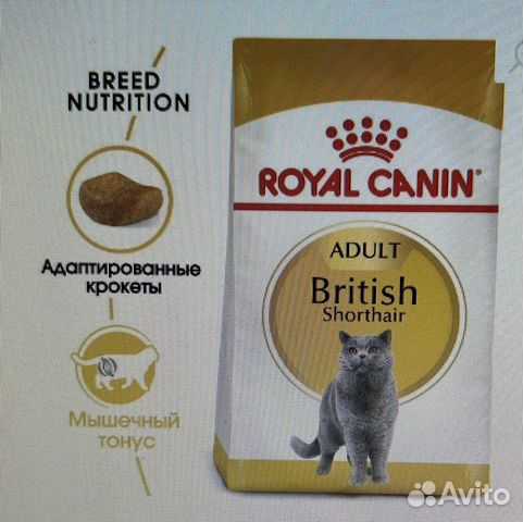 Корм для кошек Royal canin british