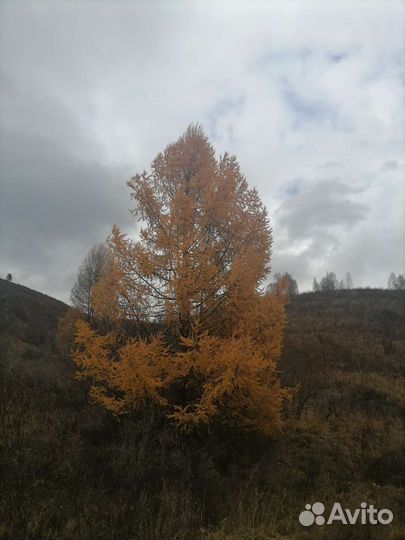 Такси меж город город