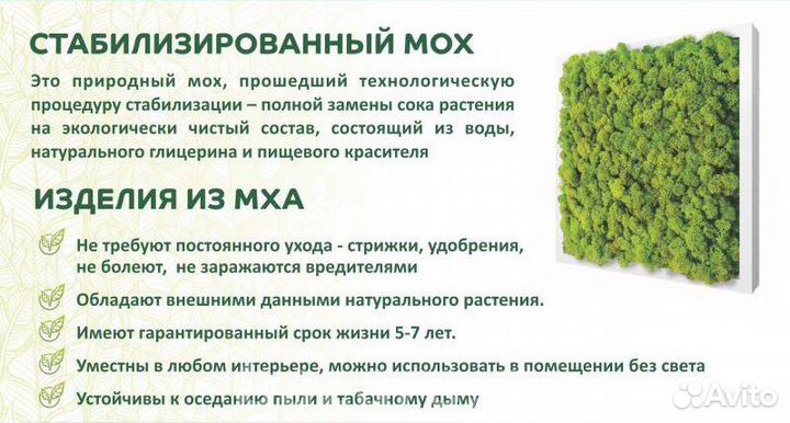 Стабилизированный мох,соты с мхом,картина из мха