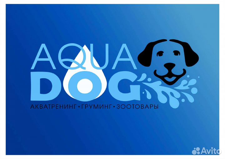 Дизайн логотипа