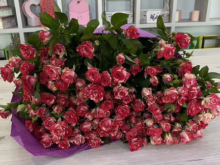 Кустовая Роза 70 см, цветы оптом, розы оптом