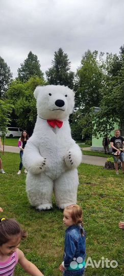 Поздравление от Белого медведя, панды, зайки
