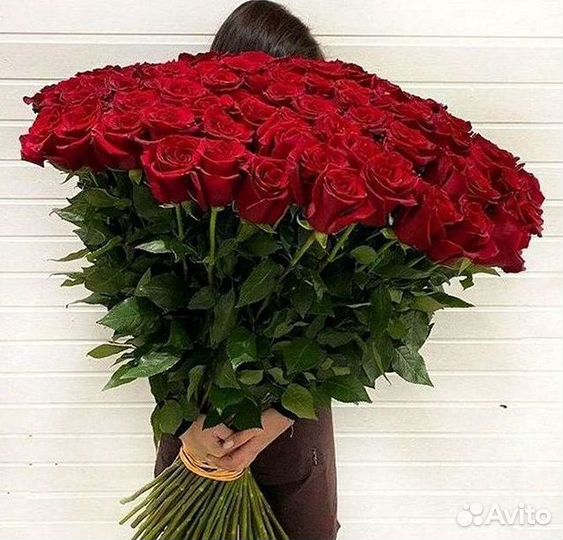 Высокие розы Гигантские розы Доставка цветов