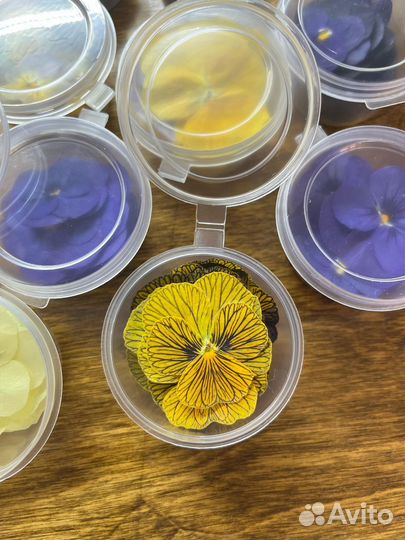 Сухоцветы виол, съедобные цветы