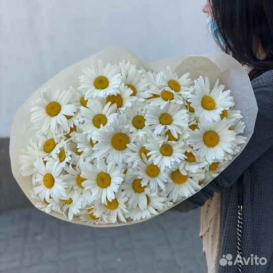 Цветы ромашки