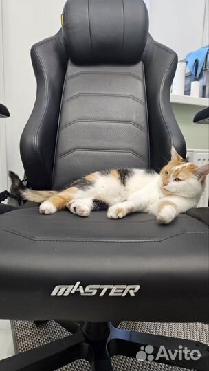 Dxracer master 140kg