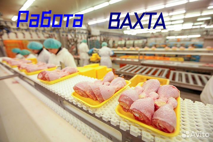 Разнорабочий на вахту/Питание+ проживание