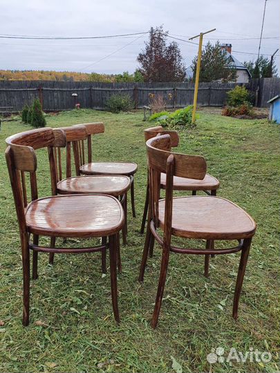 Стул венский старинный