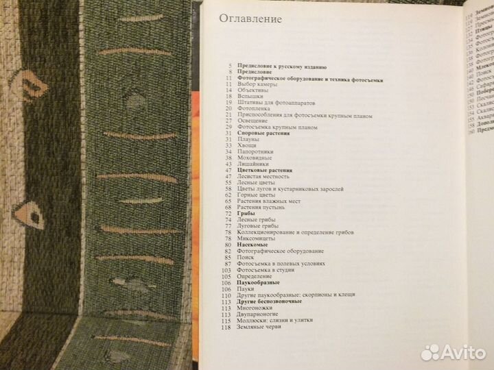 К. Пресстон-Мэфем 