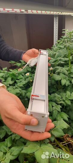 Фитосветильник полный спектр