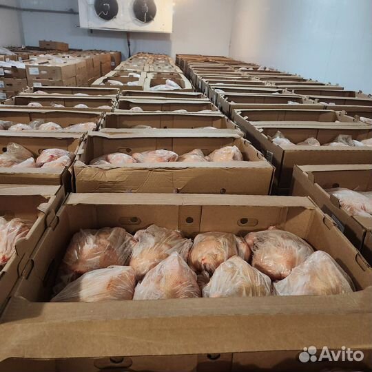 Куры бройлеры тушки мясо