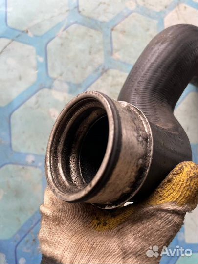 Патрубок интеркулера 3B0145834N