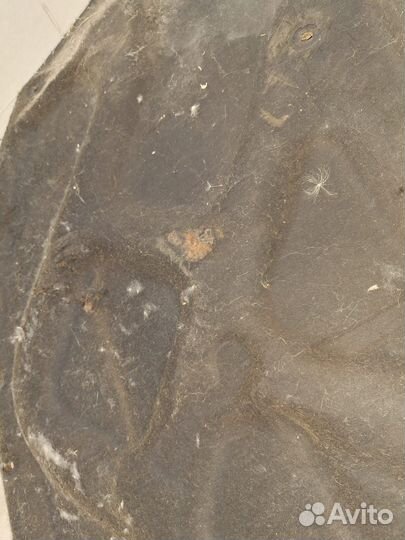 Обшивка капота Ford Mondeo