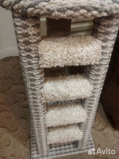 Когтеточка-лесенка