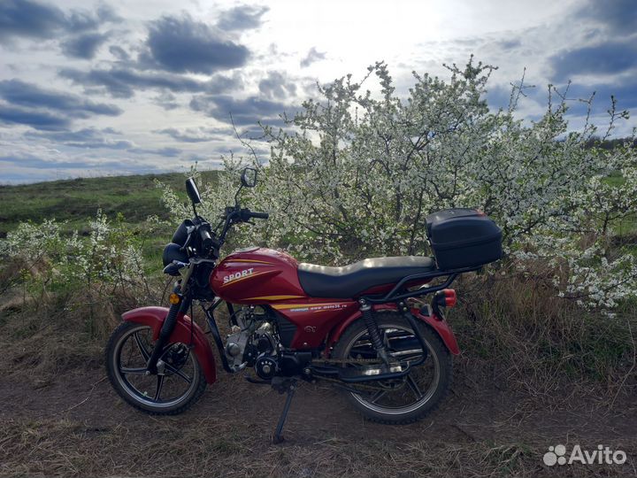 Альфа Спорт