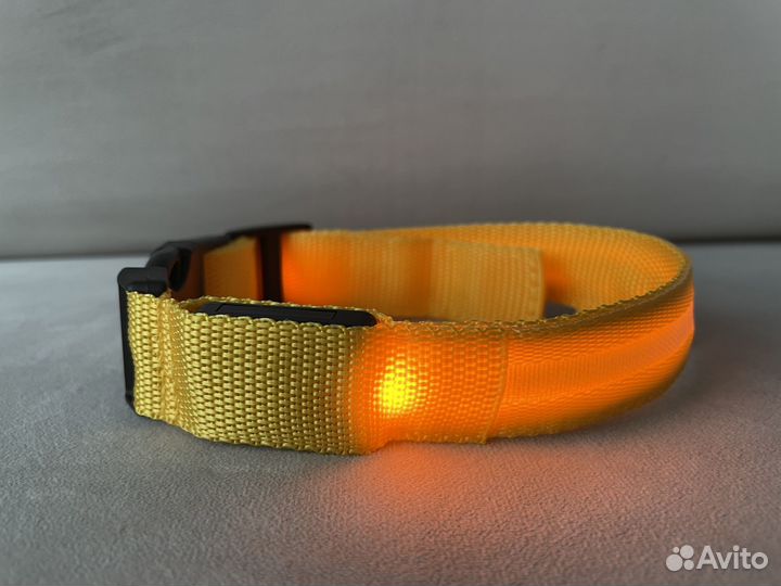 Светящийся ошейник для собак