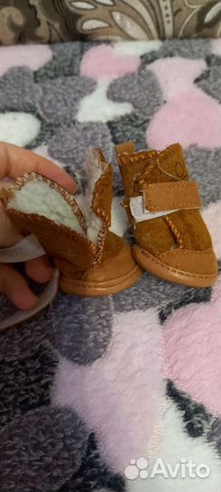 Одежда и обувь для маленьких собачк