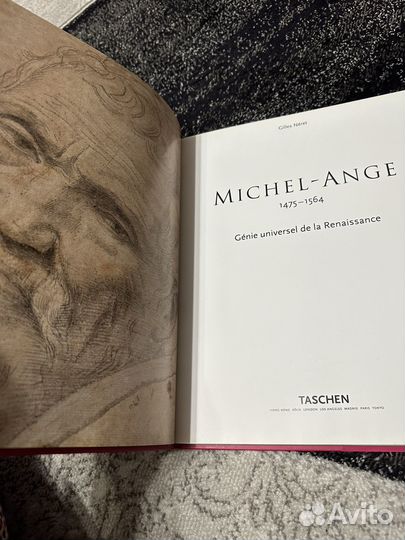 Книга микель анжело