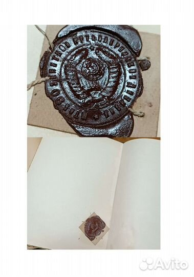 Открытка, фото Лужники, альбом листы ватман 50-е