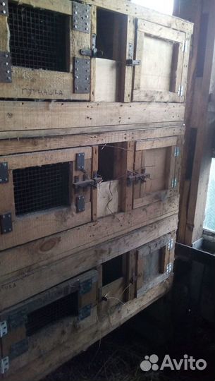 Клетки (использовались для кроликов)