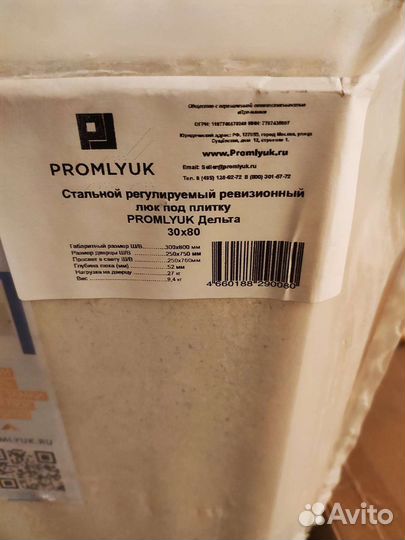 Ревизионный люк