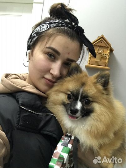 Щпиц вязка