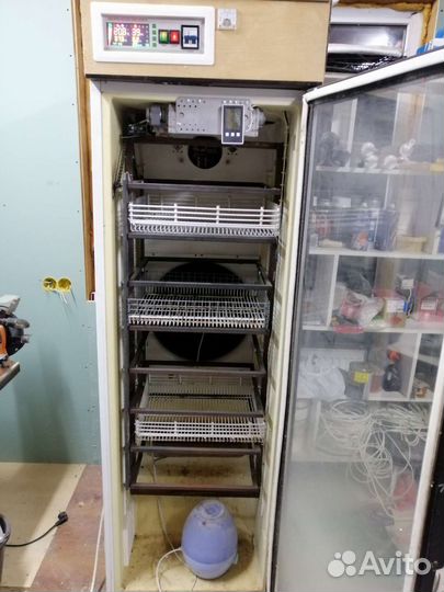 Инкубатор для яиц