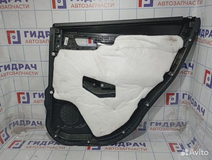 Обшивка двери задней левой Haval F7x 2