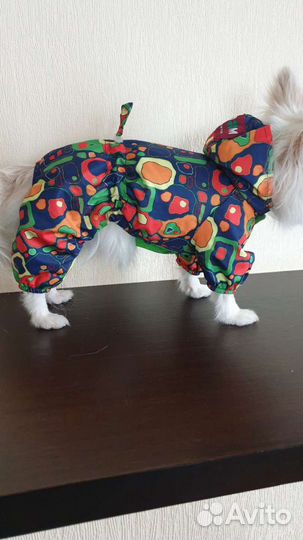 Одежда для собак