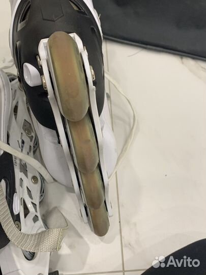 Ролики rider alpha caprice раздвижные