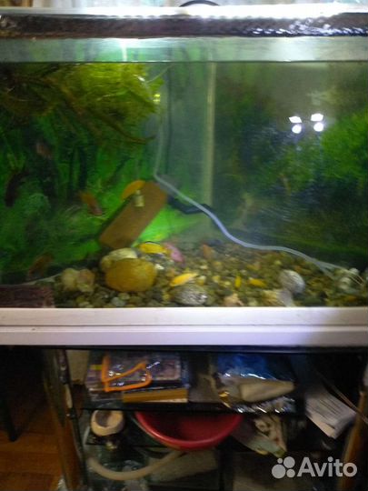 Аквариум