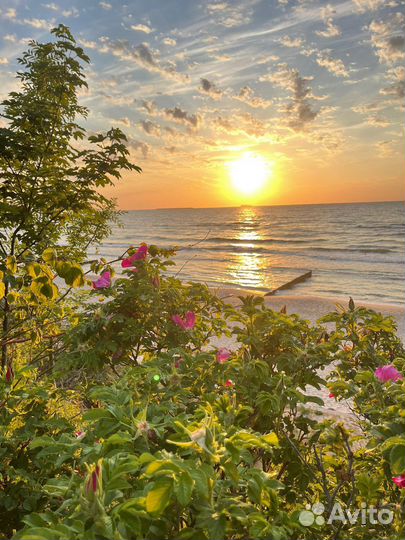 Экскурсия по Куршской косе. Зеленоградску