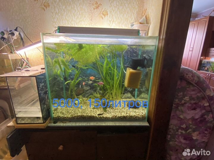 Украшение для аквариума