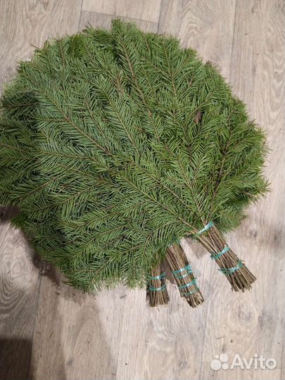 Веники пихтовые